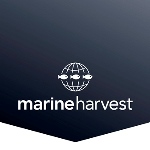 Marine Harvest – M3 Uppgradering Spanien