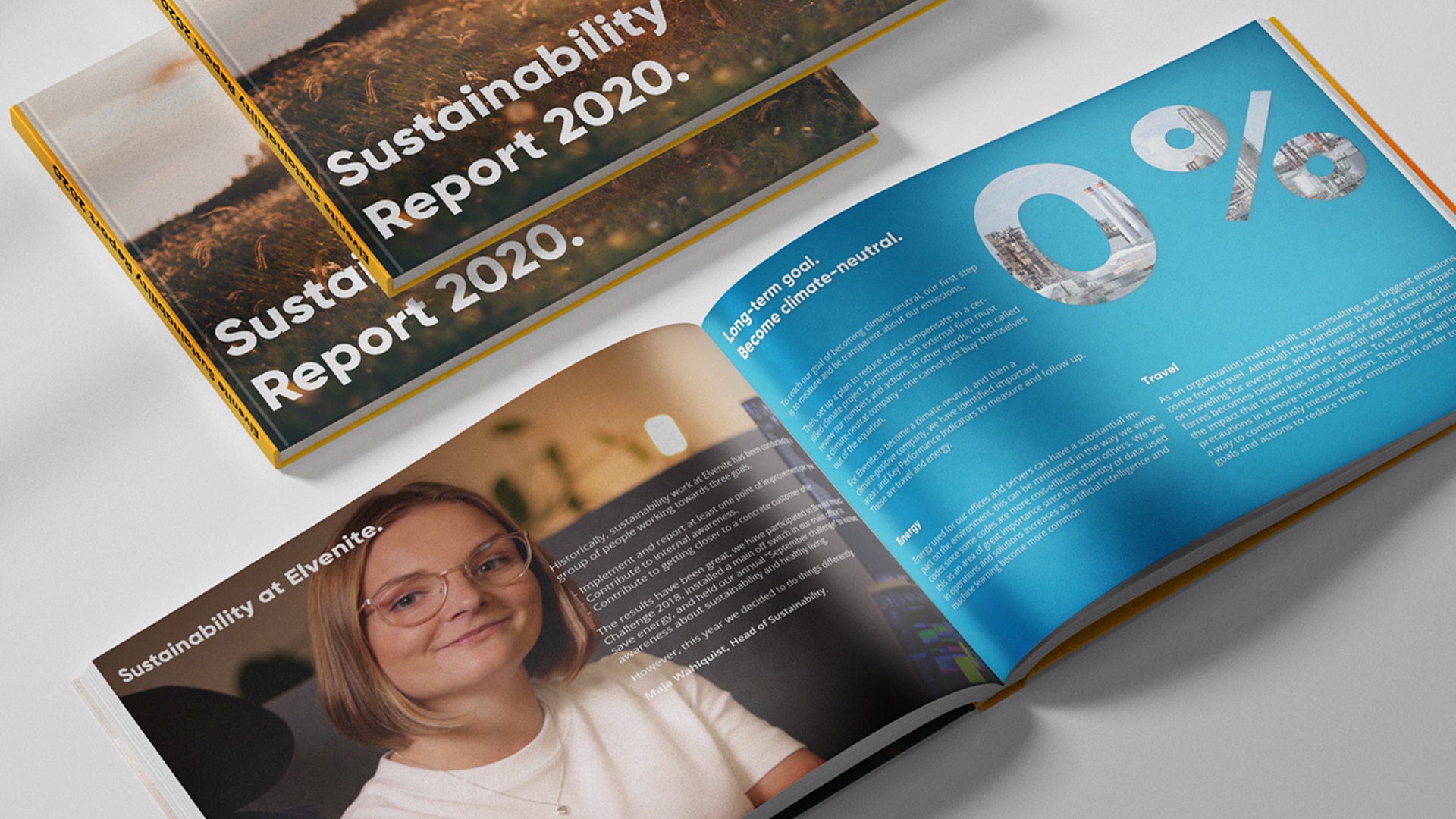 Elvenite Sustainability Report 2020