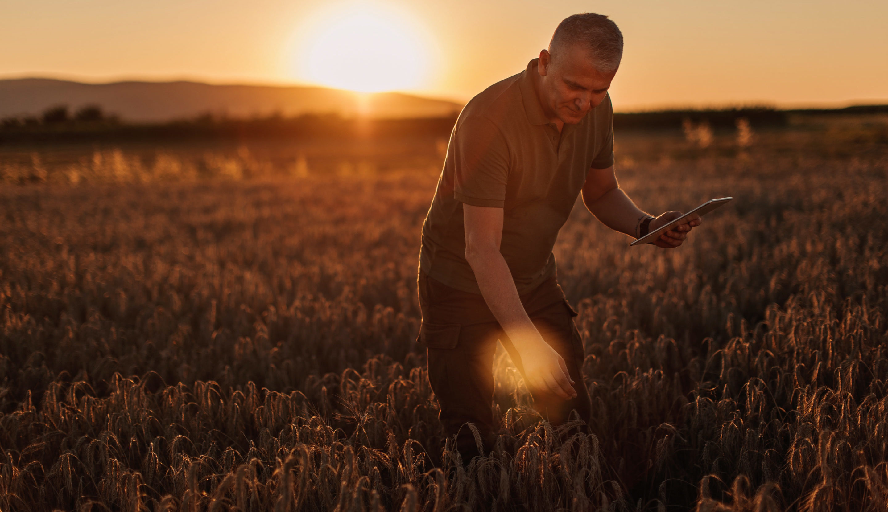 Portrait of mid adult farmer in the wheat field