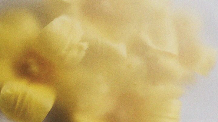Blurry close-up of yellow objects on a light background, difficult to identify due to softness and lack of detail.